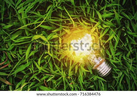concept idea eco, energy light bulb on green grass