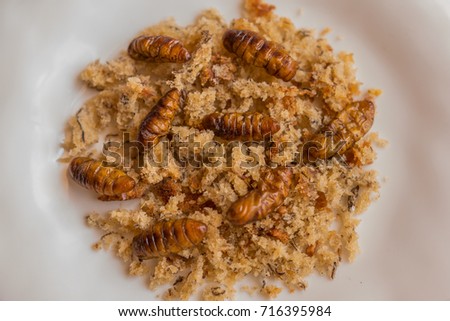 A close-up of foods insects. Close-up homemade insect foods with banana cupcakes. Healthy meal high protein diet concept. Selective focus.