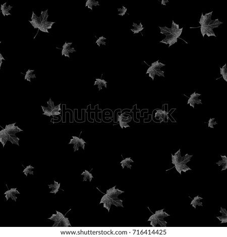 Dark autumn nature background with leaves, concept design