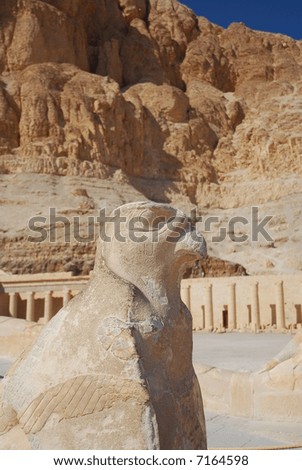Statue of the Horus at the female Temple Pharaoh Hatshepsut in Egypt.