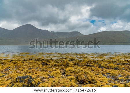 colorful beaches of yellow algae of the Scottish coastline on the ocean, of Skye Island with cloudy sky