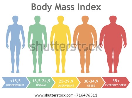 Body mass index vector illustration from underweight to extremely obese. Man silhouettes with different obesity degrees. Male body with different weight. Royalty-Free Stock Photo #716496511