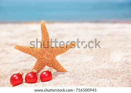 Sea star and decorations on beach. Christmas holidays concept