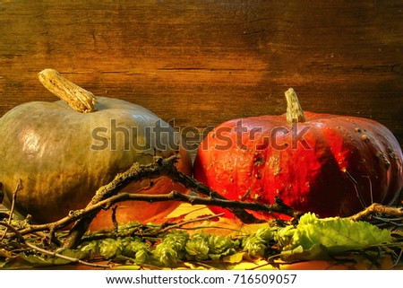 a gray and red pumpkin. on a wooden background and grass with branches. style halloween.