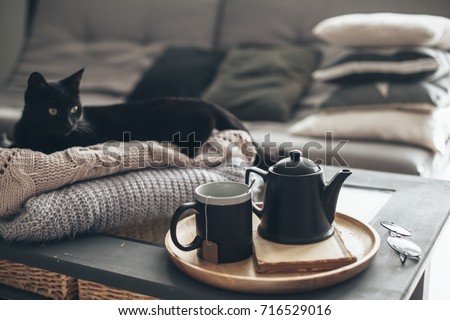 Still life details in home interior of living room. Black cat relaxing on sweater. Cup of tea on a serving tray on coffee table. Breakfast over sofa in morning sunlight. Cozy autumn or winter concept. Royalty-Free Stock Photo #716529016