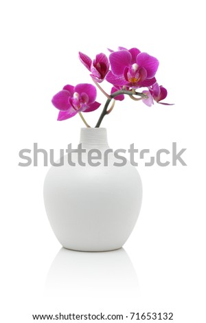 Orchid in white vase, isolated on white Royalty-Free Stock Photo #71653132
