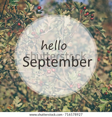 Nature on the background and text hello september