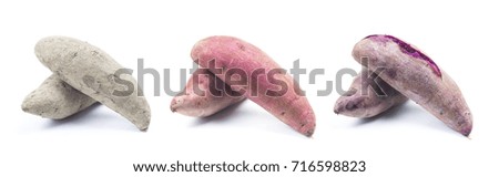 Fresh purple potato, steamed purple potato