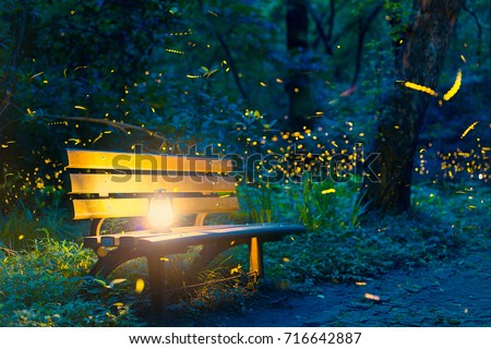 Flying fireflies