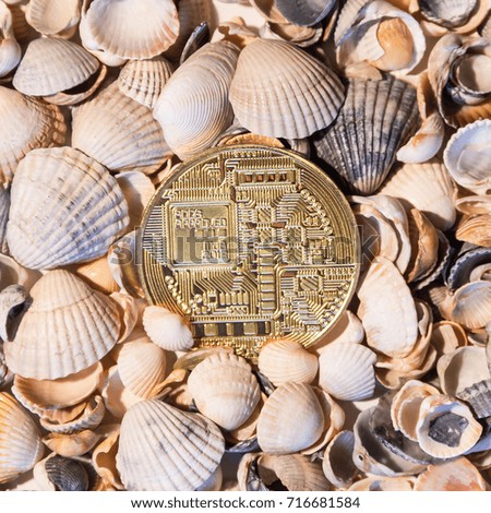 Gold bitcoin close-up against the background of sea shells. A square picture.