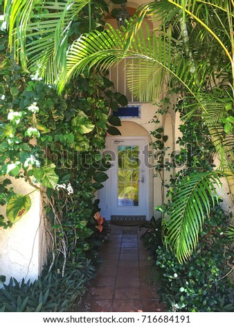 Lush tropical entryway in South Florida with palm trees and vines