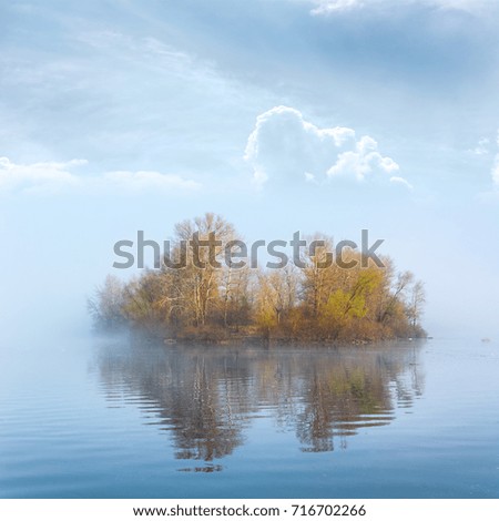 Autumn island in the fog