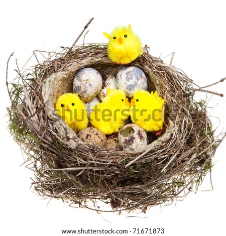 Nest with eggs and chickens on white background