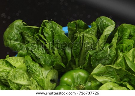 Closeup Fresh Green Salad cabbage on a plate. Healthy food concept
