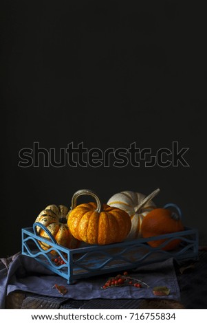 Pumpkins on the black backgroung