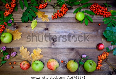 Autumnal frame of rowan, apples and oak leaves