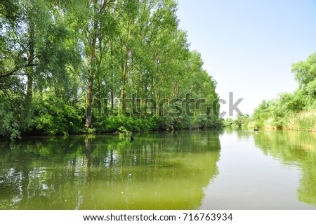 Danube Delta ecosystem. Trees and vegetation in the water