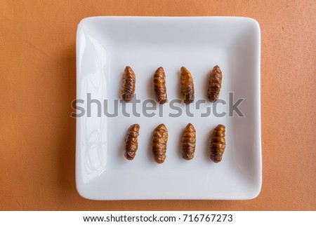 Edible insect in a white plate on orange tablecloth background.  Insect food is the healthy meal high protein and popular in Thailand.  Selective focus, Top view