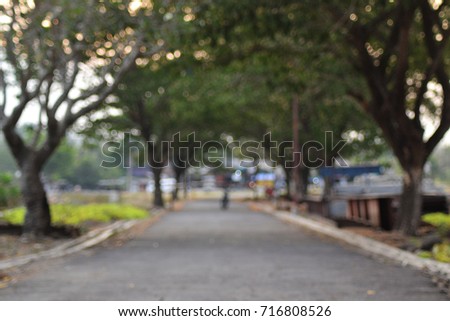 Streets and trees with a blurred background