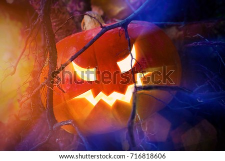 Glowing eyes in a pumpkin on Halloween at night in the woods behind the branches
