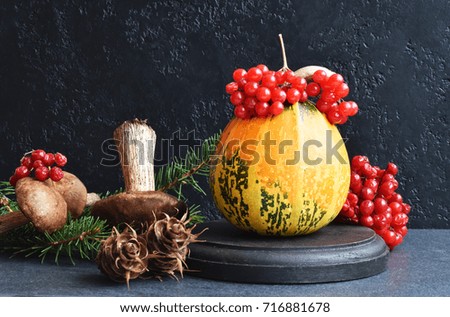 Autumn composition pumpkins and zucchini Kalina