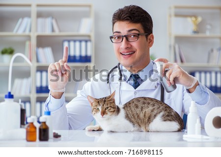 Cat visiting vet for regular checkup
