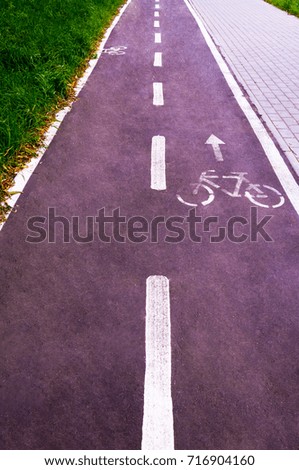 A bicycle path in a public park designed to ensure safety on a bicycle. Toning.