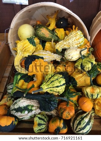 Basket of Gourds at a Farmer's Market