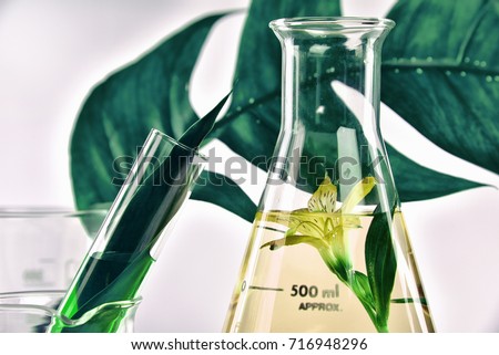 Natural organic extraction and green herbal leaves, Flower aroma essence solution in laboratory. Royalty-Free Stock Photo #716948296