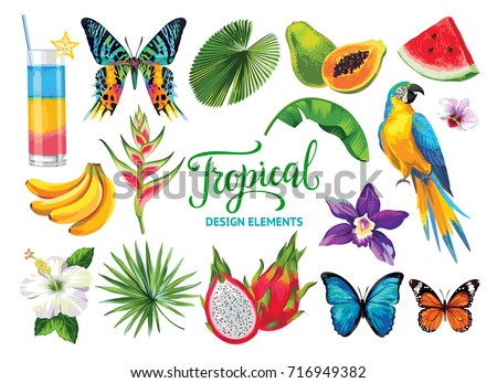 Tropical collection for summer beach party: exotic flowers, leaves, parrots, fruits and butterflies. Vector design isolated elements on the white background.