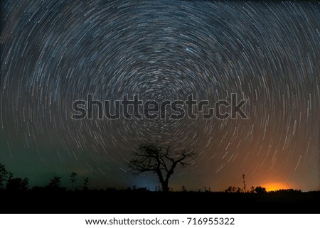 Alone tree with star  Galaxy