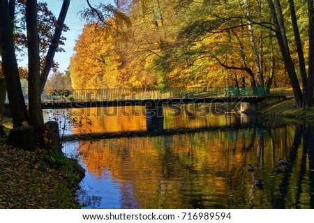 Beautiful autumn landscape - Bridge on the river in the park - golden  autumn 