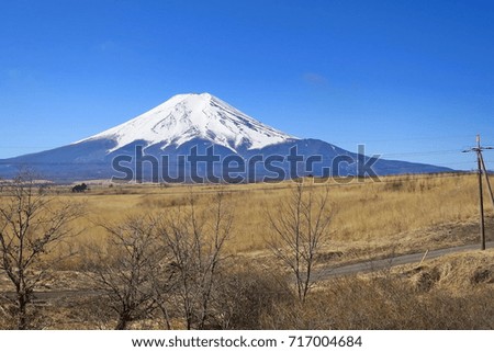 Fuji in spring time with dry grass field, dry tree and clear blue sky in the morning. Fuji is famous mountain of Japan.