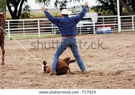 Calf roping action at a rodeo.