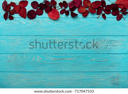 Flat lay frame of autumn crimson leaves and walnuts on a wooden background of azure color. Selective focus.