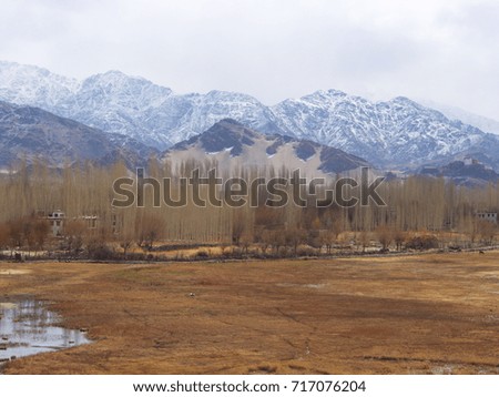 A Snow Mountain and Leh Village View with Green Tree. Leh, India, Himalaya.