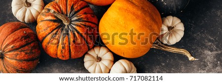 Autumn background with pumpkins. Selective focus