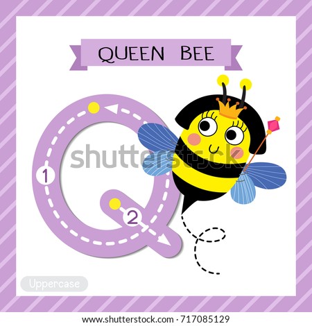 Letter Q uppercase cute children colorful zoo and animals ABC alphabet tracing flashcard of Happy Queen Bee holding scepter for kids learning English vocabulary and handwriting vector illustration.