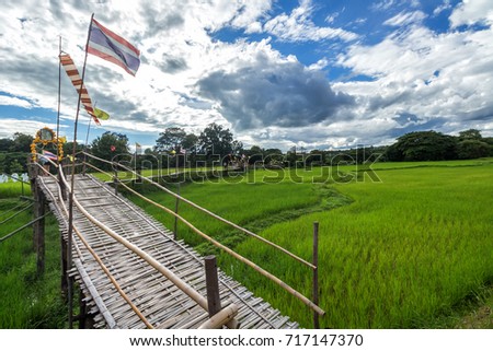 Bamboo bridge,Bridge of Merit "Sapan Boon Wat Pa Tat San Don" Bridge bamboo to the temple on green rice field in Lampang,Thailand