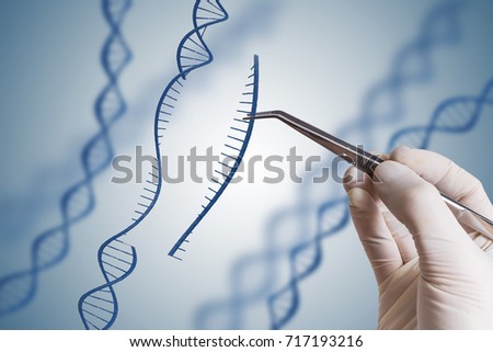 Genetic engineering, GMO and Gene manipulation concept. Hand is inserting sequence of DNA. Royalty-Free Stock Photo #717193216