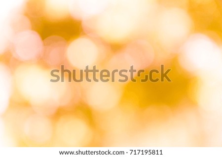 bokeh background from nature under tree shade