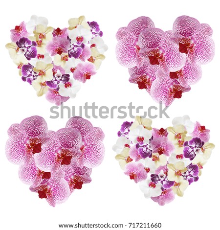 Four hearts from flowers orchids 