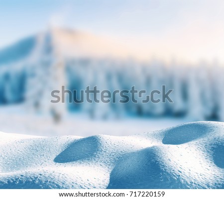 Winter background with a pile of snow and eroded landscape. Copyspace for text. Magical winter snow covered tree. Carpathian. Ukraine