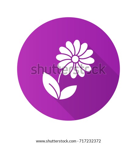 Camomile flat design long shadow glyph icon. Flower. Raster silhouette illustration