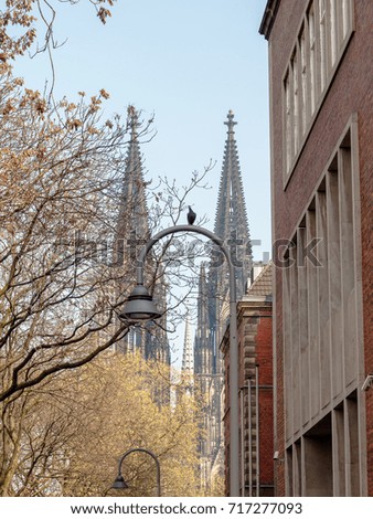 Architecture of Cologne, Germany, in spring, view at Cologne Cathedral