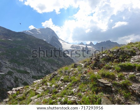 Glacier Sofia mountains and clouds on a blue sky, grass on a stony mountainside