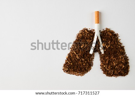 Cigarette smoker's lungs isolated on white background with copy space. Smoking kills, concept with cigarette and tobacco. No smoking concept with cigarettes and tobacco Royalty-Free Stock Photo #717311527