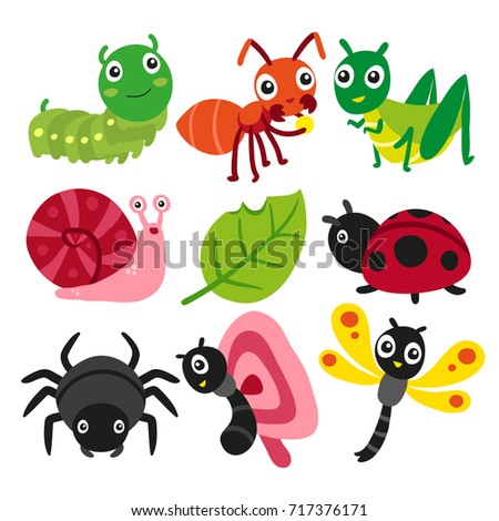 Bugs collection, insect vector design