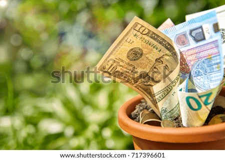 Money currency and coins stuck in soil in flowerpot