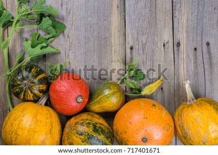 A frame of different pumpkins on an old wooden background, flat lay, top view